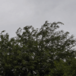 Conmoción en Frías: hallaron sin vida a un hombre en su domicilio