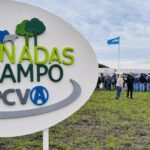 Maravillas de la vida animal: amigos son los amigos