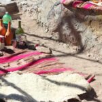 VIDEO. Alerta amarilla por viento Zonda en Salta: preocupa la reactivación de incendios de pastizales