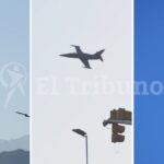 Colapinto finalizó 12° la Sprint del Gran Premio de Países Bajos